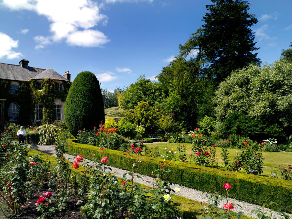 Picturesque Irish towns Erasmus+ internships